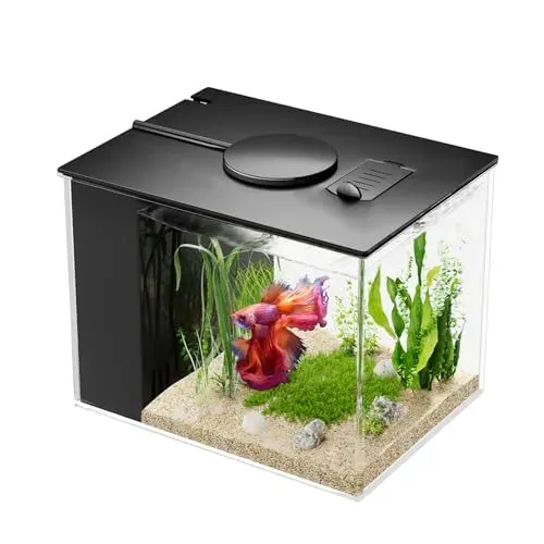 Nano aquarium Vehipa 3,7 l avec filtre et LED, usage temporaire