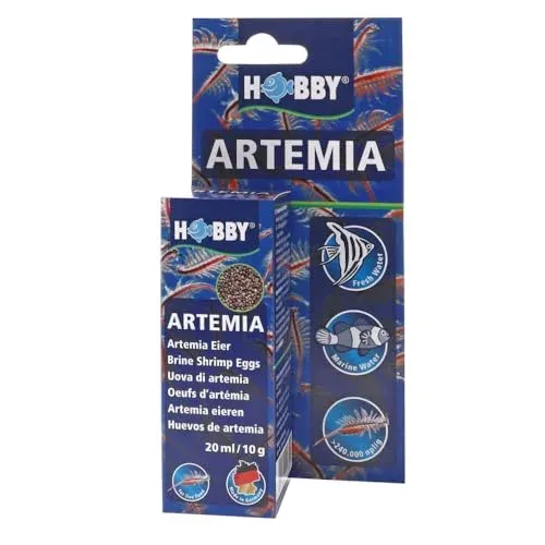 Oeufs d'artémia Hobby, boîte de 20 ml