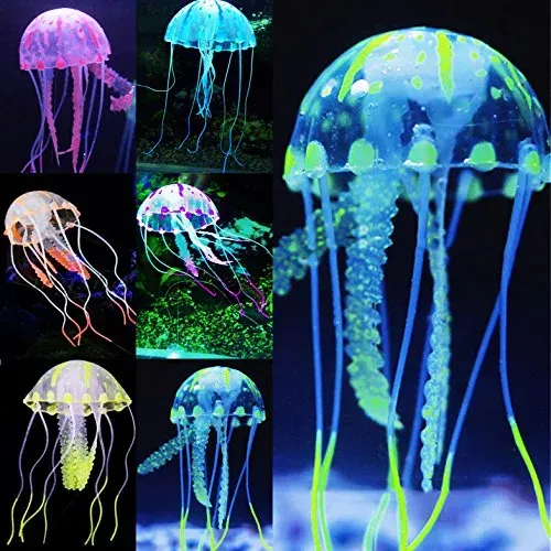 Pawfly lot de 6 méduses flottantes en silicone