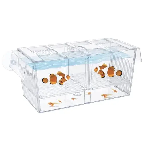 Pawfly CW0426-TP boîte d'incubation acrylique