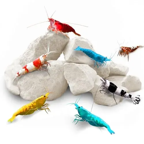 Pierres de calcium SunGrow pour bac à crevettes