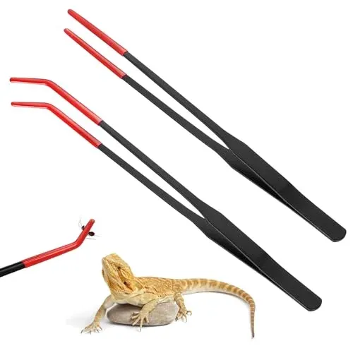 Pinces inox Zhujiehigh droites et courbes avec embout silicone