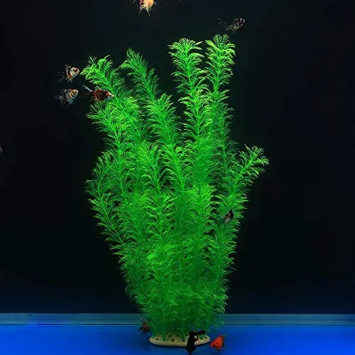 Plante artificielle ALEGI 53 cm pour aquarium