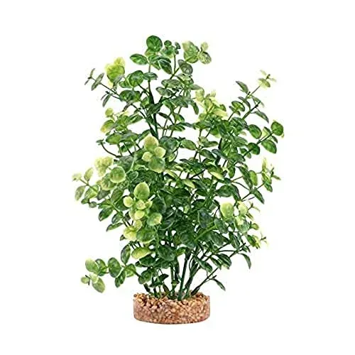 Plante artificielle Fluval verte 20 cm pour aquarium