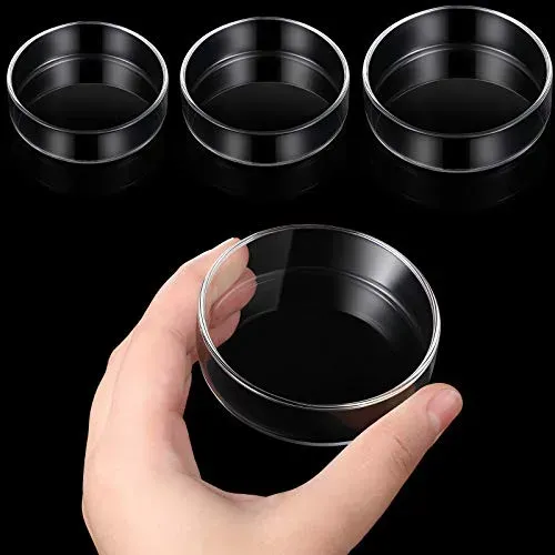 Lot de 3 plats d'alimentation transparents Patelai pour crevettes