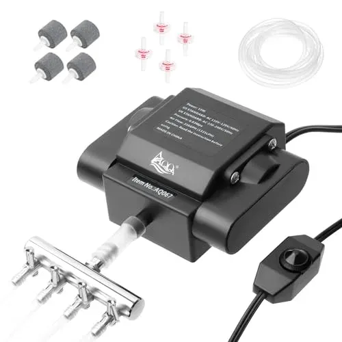 Pompe à air Aqqa 4 sorties 10 W avec accessoires