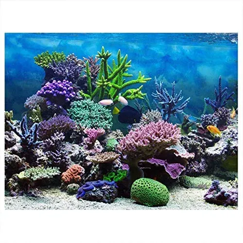 Poster de fond d'aquarium thème corail, adhésif PVC 61 x 30 cm