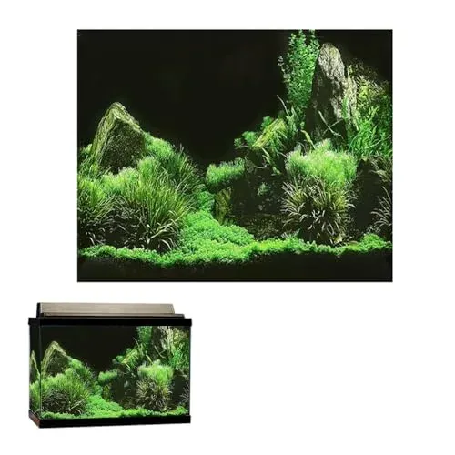 Poster de fond d'aquarium HZONGMINGZT en PVC, 61 x 30 cm