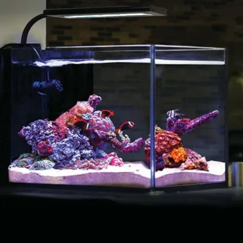 Rampe LED Current Orbit Marine pour nano aquarium récifal