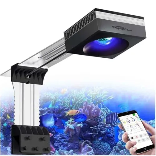 Rampe LED PopBloom RL90 WiFi 100 W pour bac récifal