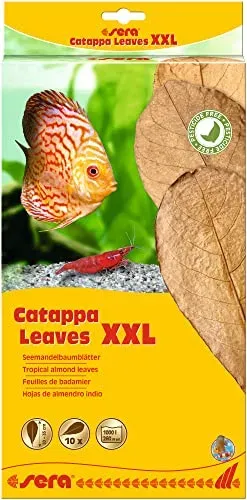 Sera Catappa Leaves XXL, feuilles de badamier pour aquarium