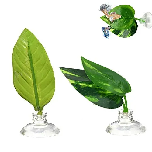 Seully feuilles de repos pour poisson combattant