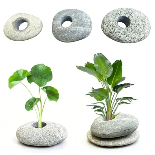Lot de 6 supports lestés LIULINY pour plantes d'aquarium