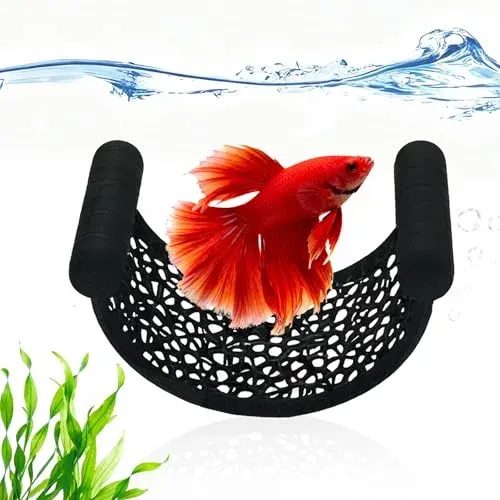 XIINGYAAN hamac flottant pour poisson combattant