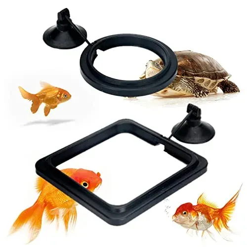 XPOOP anneau d'alimentation flottant avec ventouse pour aquarium
